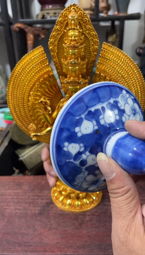 瓷片主播推荐精选好物