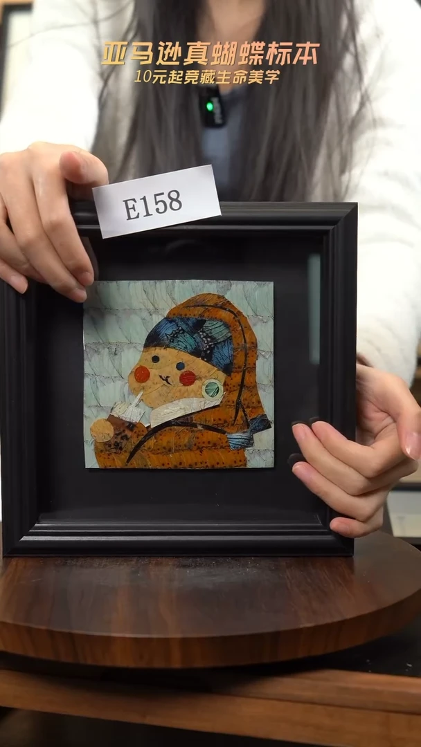 蝴蝶翅膀蝶翅画竞拍e158