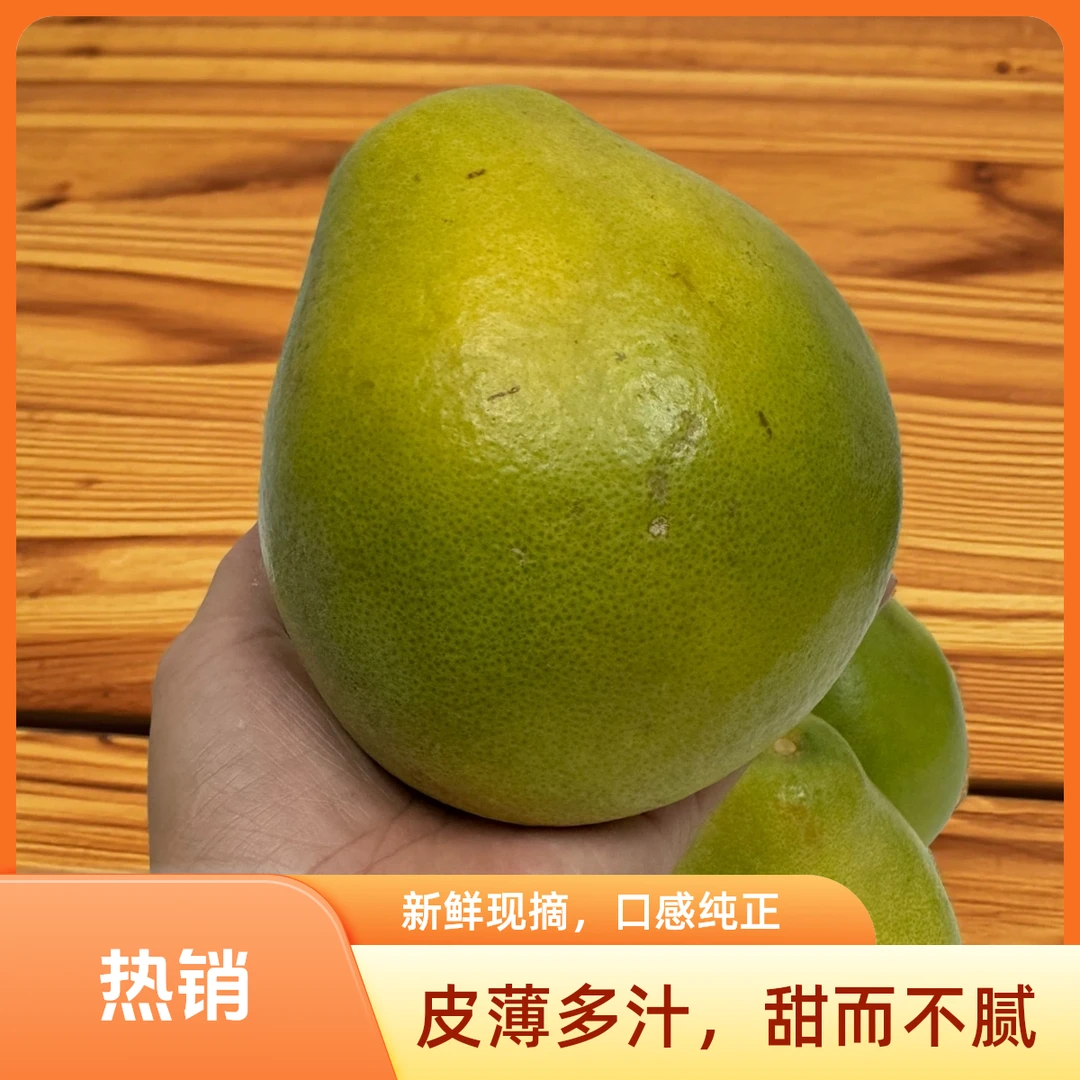 安福蚕子金兰柚当季水果柚子酸甜可口