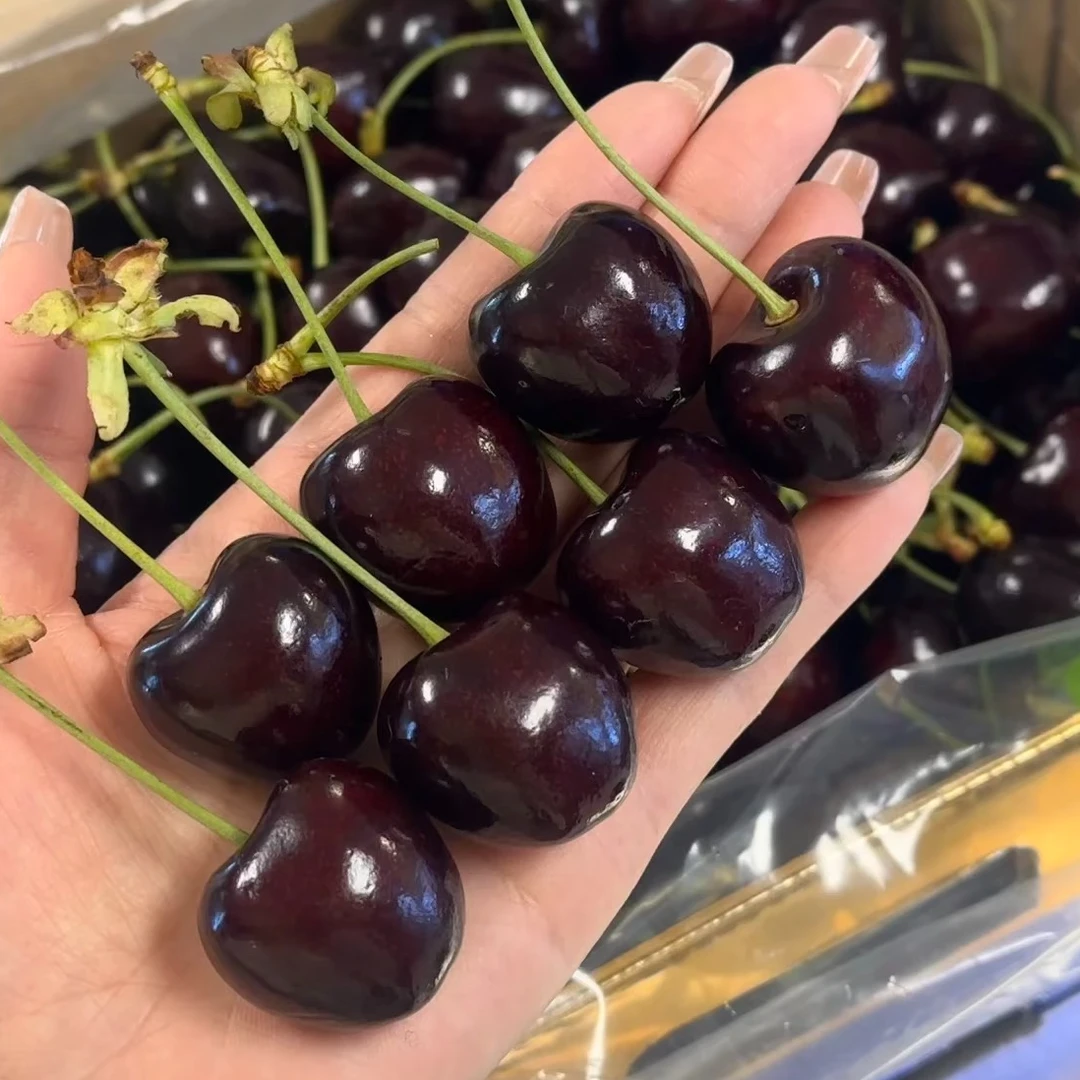 【头茬鲜果】顺丰包邮智利进口空运车厘子水果3J-4J内附果径卡800g