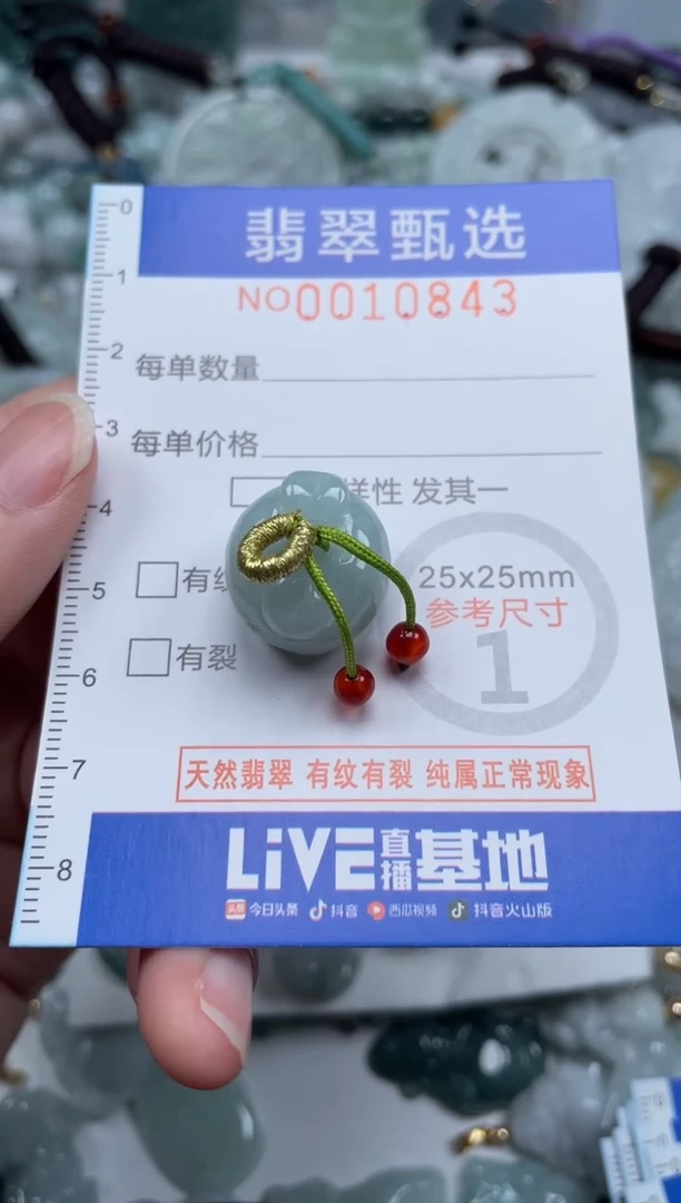 颈饰未镶嵌翡翠10843