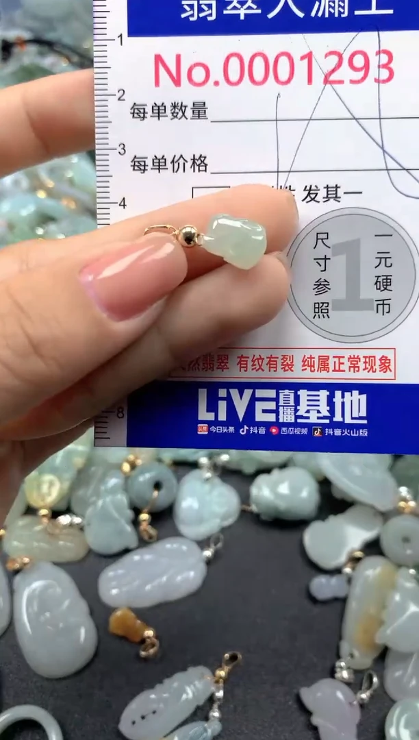 颈饰未镶嵌翡翠1293