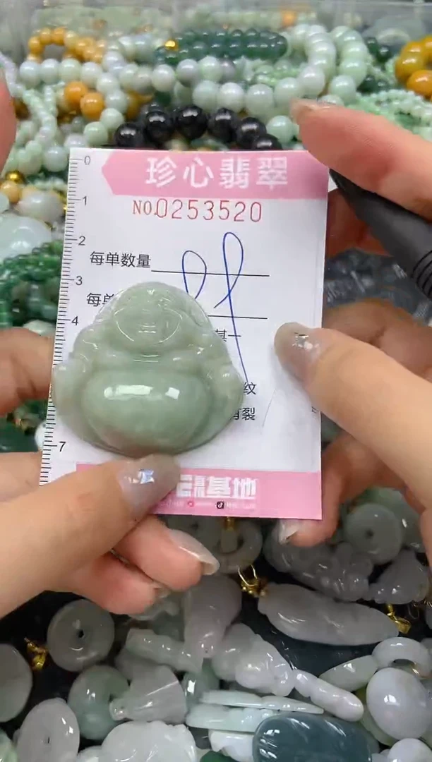 翡翠未镶嵌颈饰闪购0253520