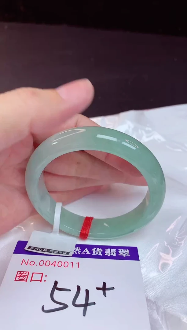 未镶嵌手镯翡翠54+