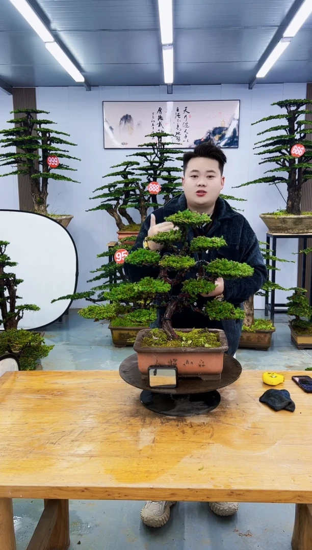 以实际为准00000000