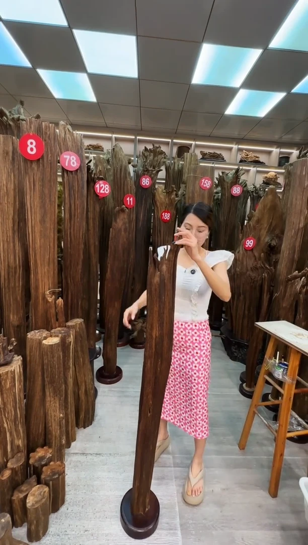 沉香碎屑沉香原料摆件工艺品一百以上带底座沉香