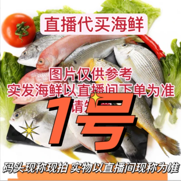【琦琦】❶北海码头海捕杂鱼虾蟹鱼贝生鲜速冻锁鲜