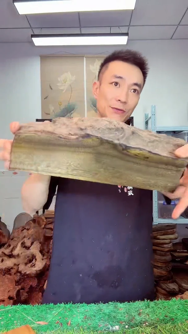金丝楠小叶桢楠381