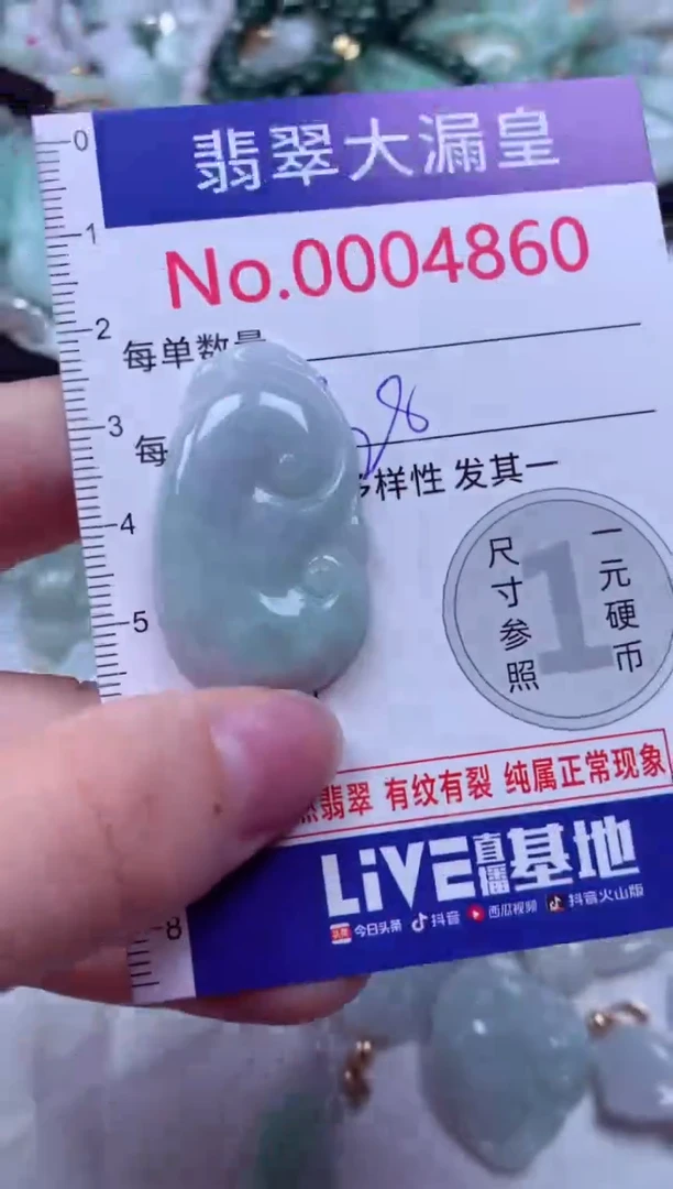 吊坠(不含链)未镶嵌翡翠4860