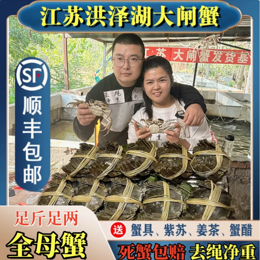 【活蟹现发】全母蟹8只装10只装（㍛0-㍛5两）洪泽湖螃蟹礼盒顺丰包邮
