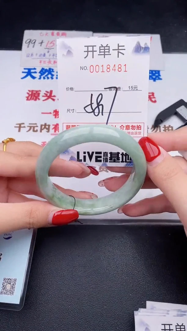 未镶嵌手镯翡翠81