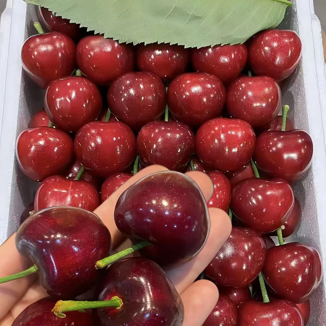 【壹壹生鲜同城配送】大连2J美早大樱桃，净重2斤左右