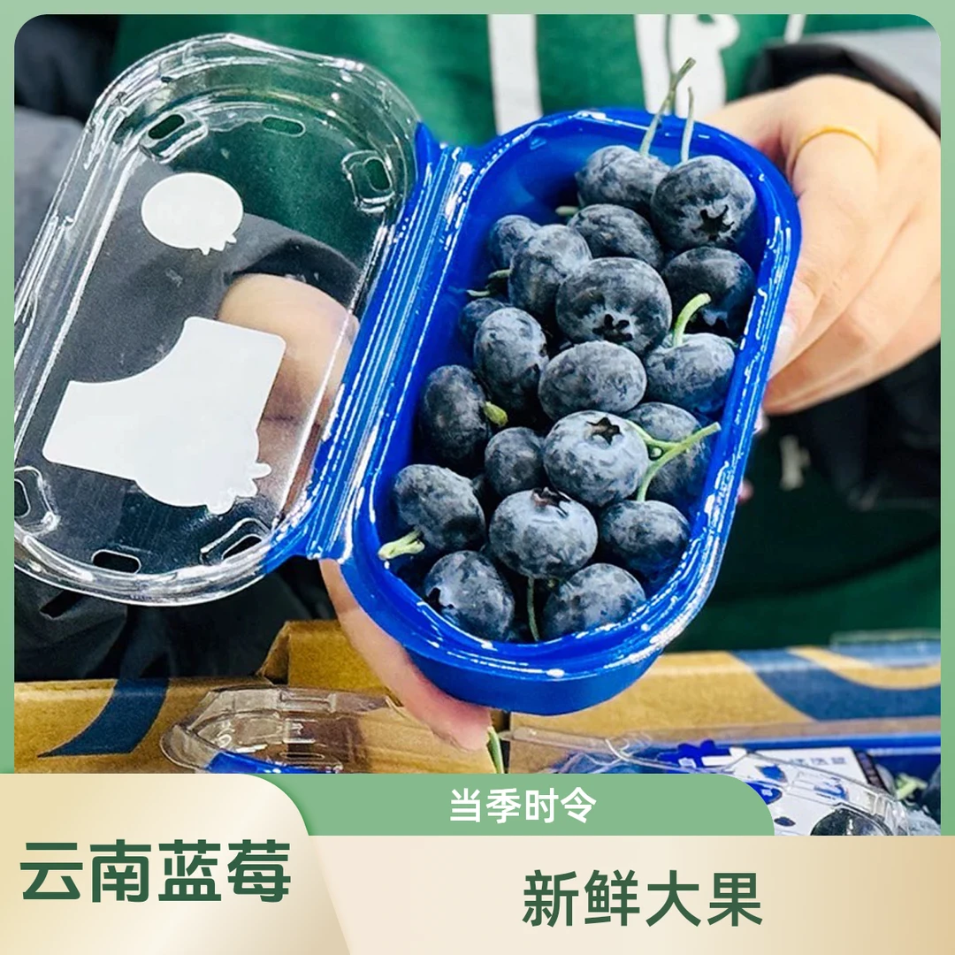 【美益粒超大果】巨无霸22-24mm蓝莓云南蓝莓鲜果新鲜时令大果当季200g/盒包邮