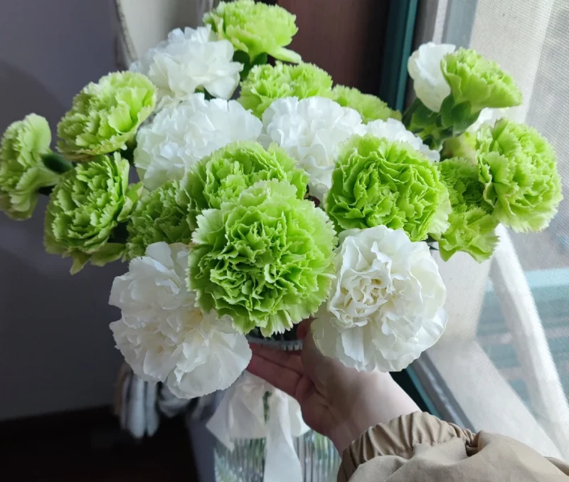 【小雨专属】小清新康乃馨多头鲜花