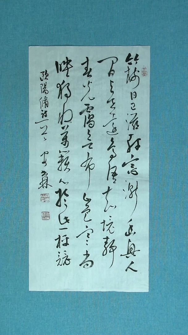【闪购商品】书法169 甘肃安世林中书协69*34
