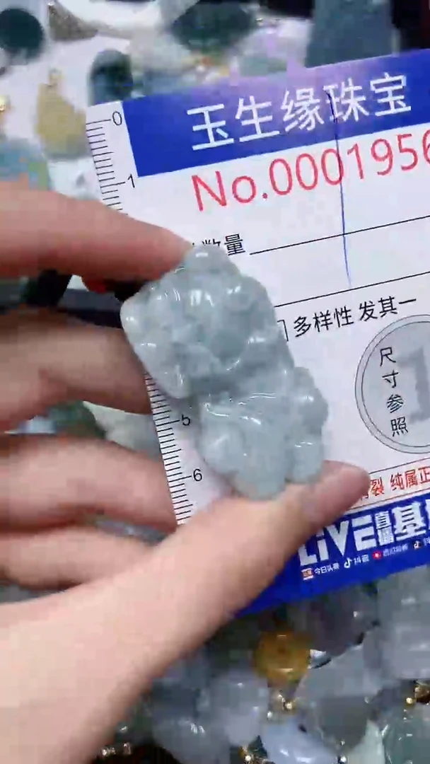 【闪购商品】翡翠颈饰未镶嵌闪购00001956