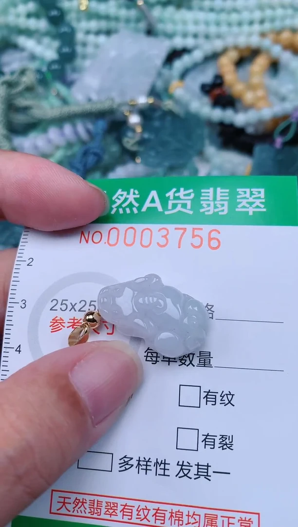 翡翠未镶嵌颈饰.0003756