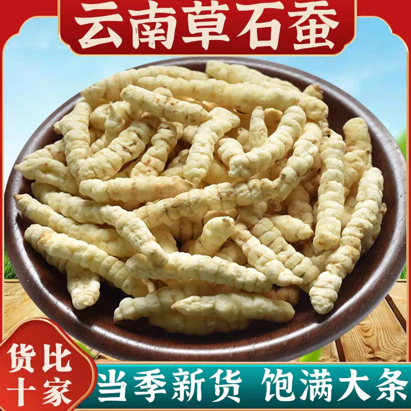 虫草参正品草石蚕中药材干土冬虫草地蚕土冬虫草白虫草另售生姜姜