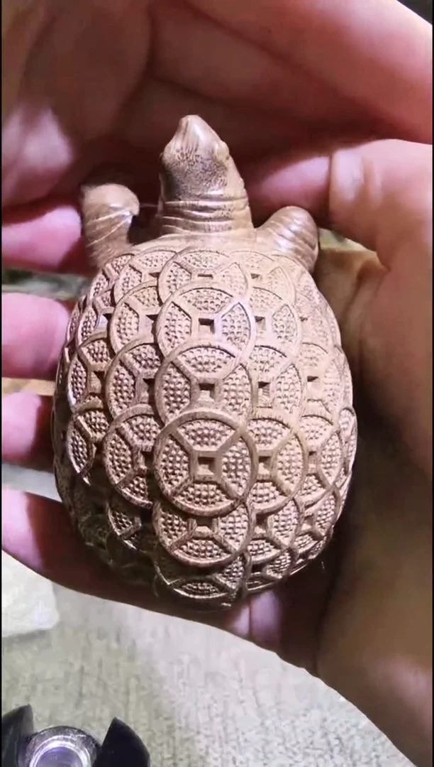 金丝楠         金钱龟