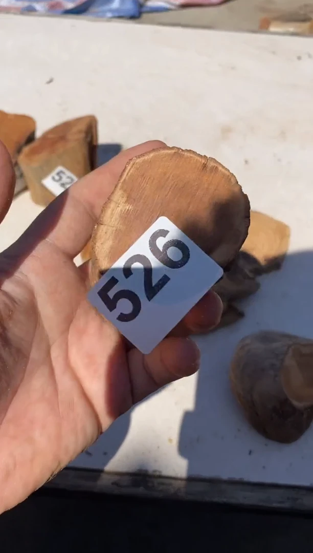 柏木（崖柏）太行陈化崖柏切片一块（津诚林）526