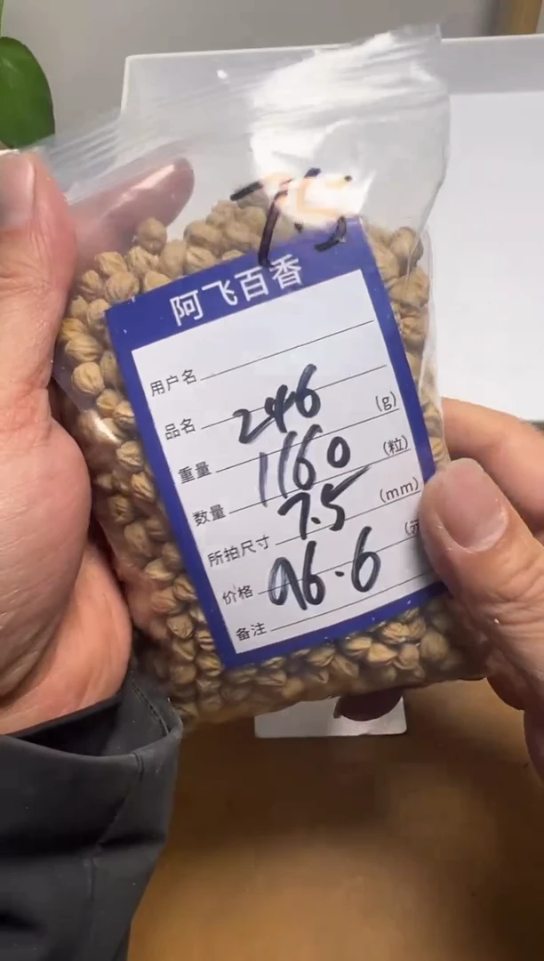 【闪购商品】柏香籽/百香籽吊坠96.6