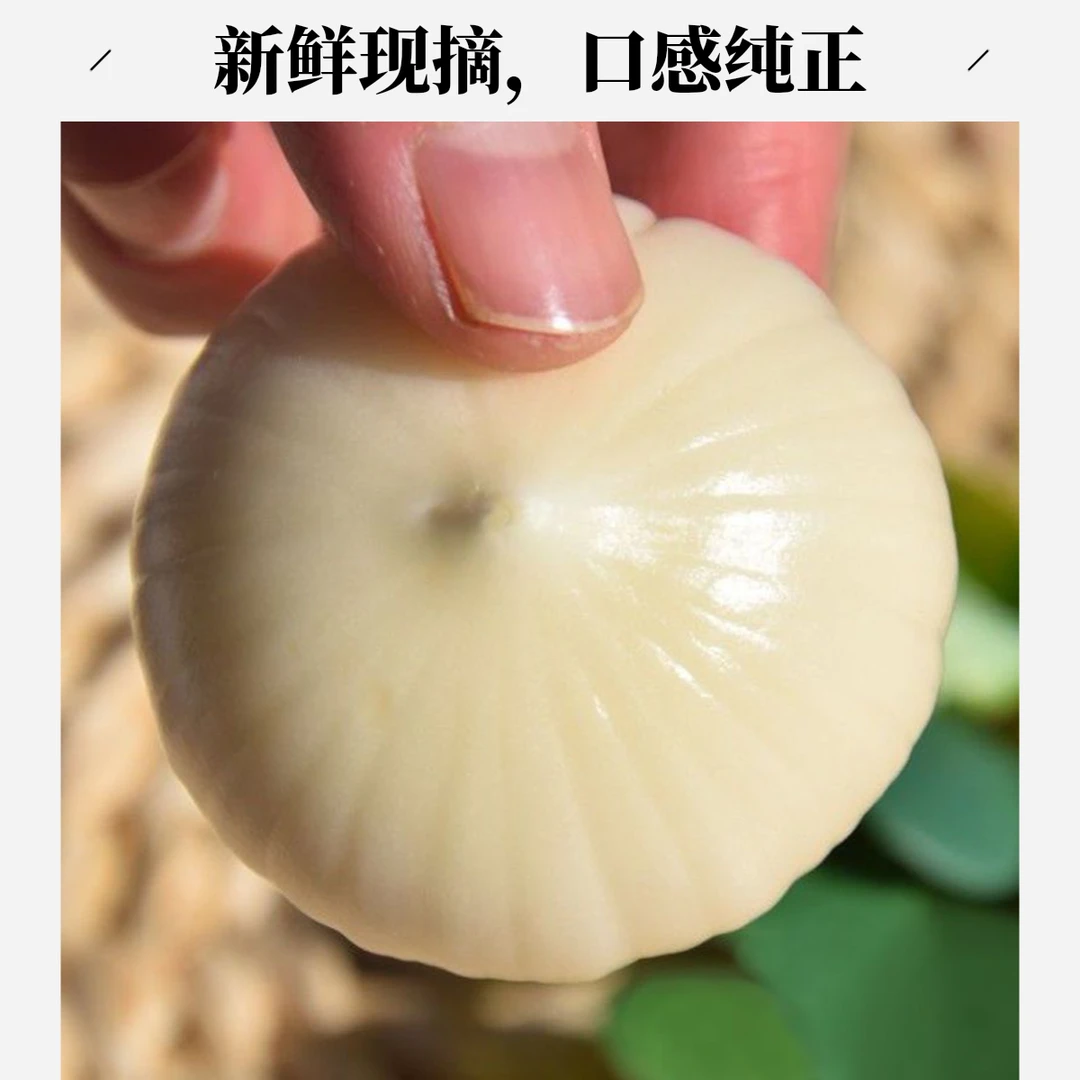 【每日精选】现挖大蒜新鲜优质独头大蒜湿蒜农家蔬菜优质独