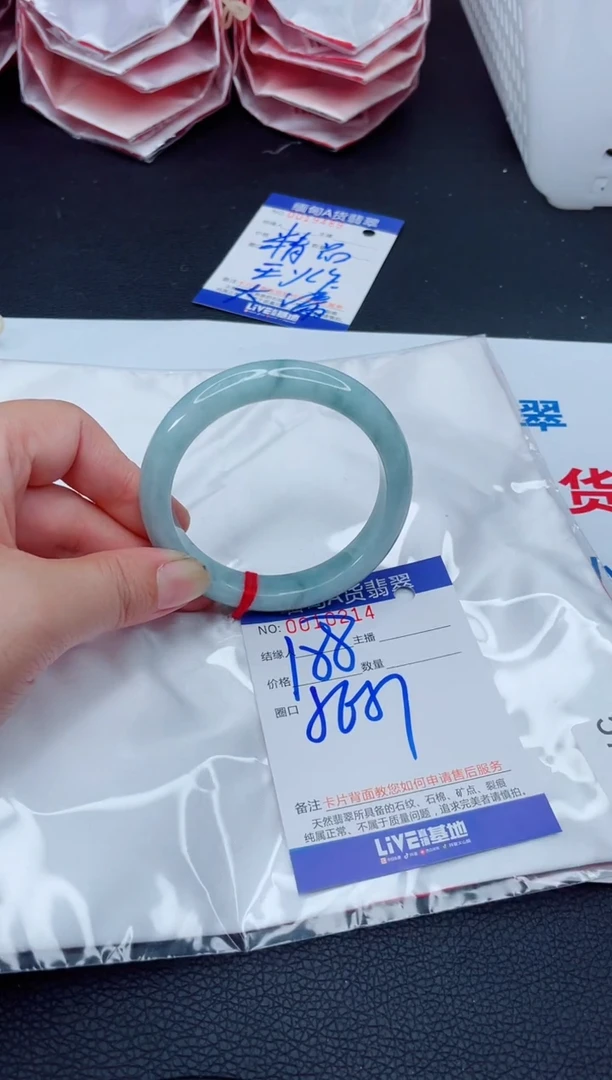 未镶嵌手镯翡翠我4