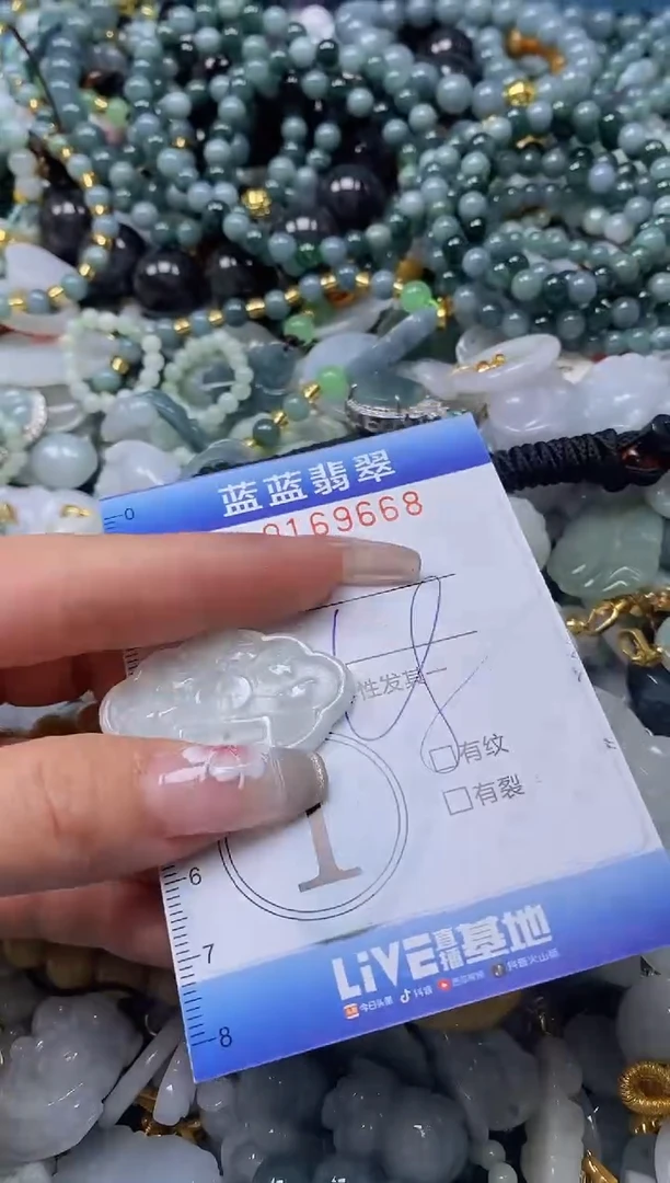 【闪购商品】翡翠颈饰未镶嵌闪购0169668