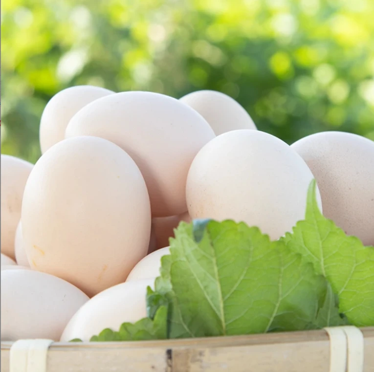 皖南农家散养土鸡蛋