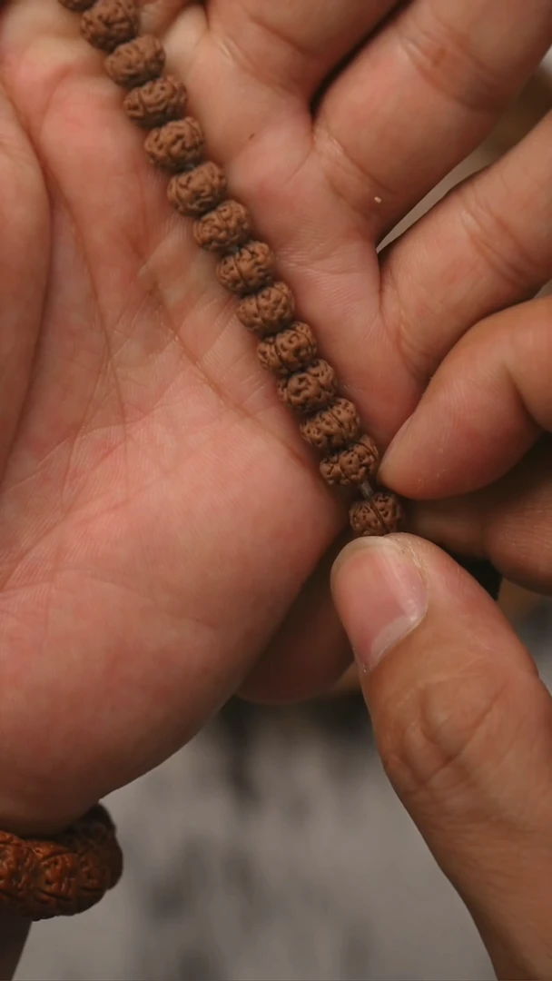 手串金刚菩提S01老树王手串