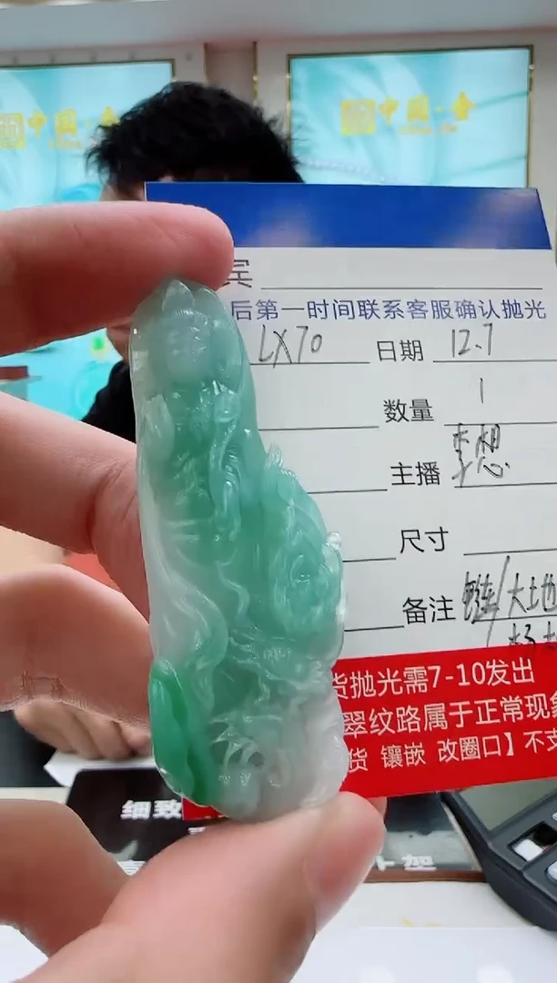未镶嵌定制翡翠LX70翡翠吊坠赠珠链-多样性发其一