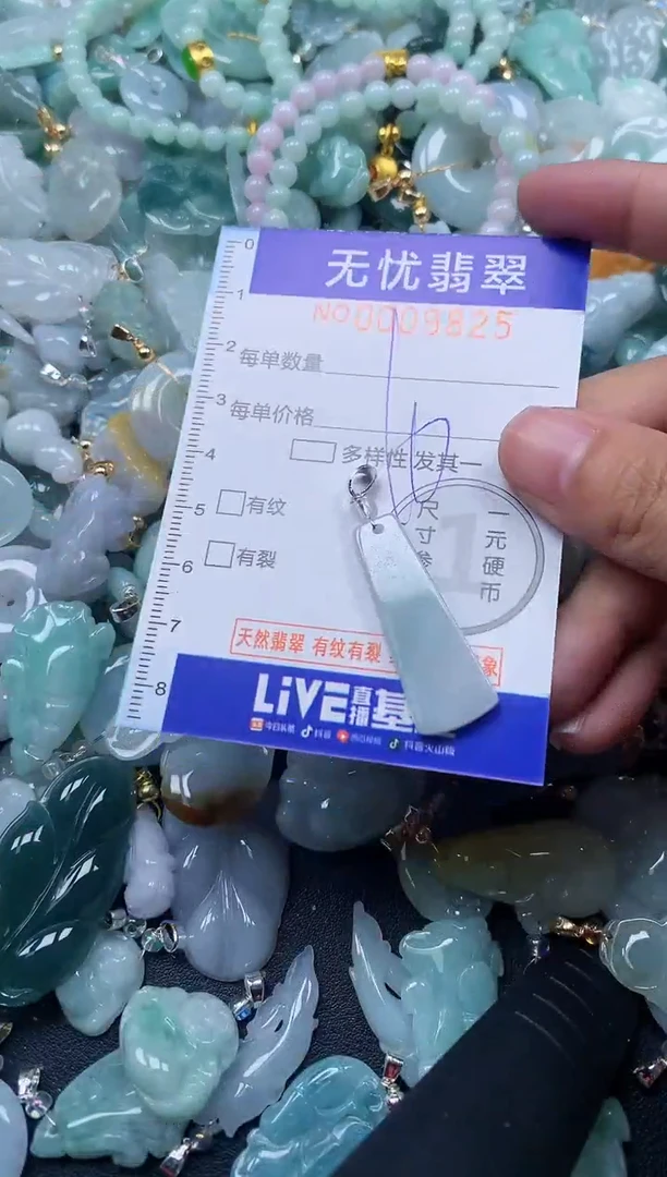 颈饰未镶嵌翡翠9825