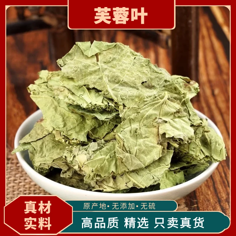 芙蓉叶中药材野生木芙蓉叶正宗地芙蓉叶新货无硫正品木芙蓉叶