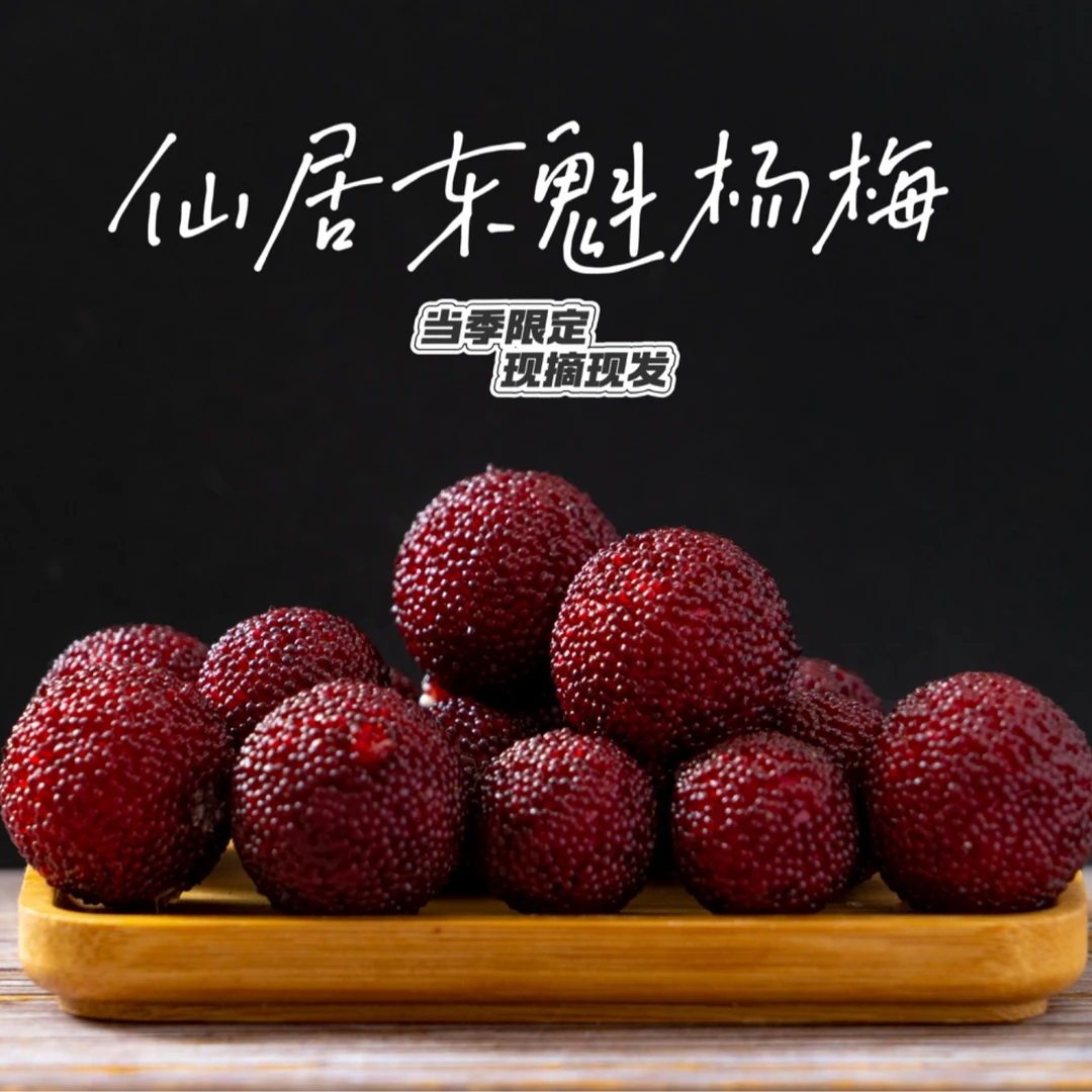 【正宗仙居东魁杨梅】中果/大果氮气锁鲜顺丰冷链凌晨采摘现发礼盒