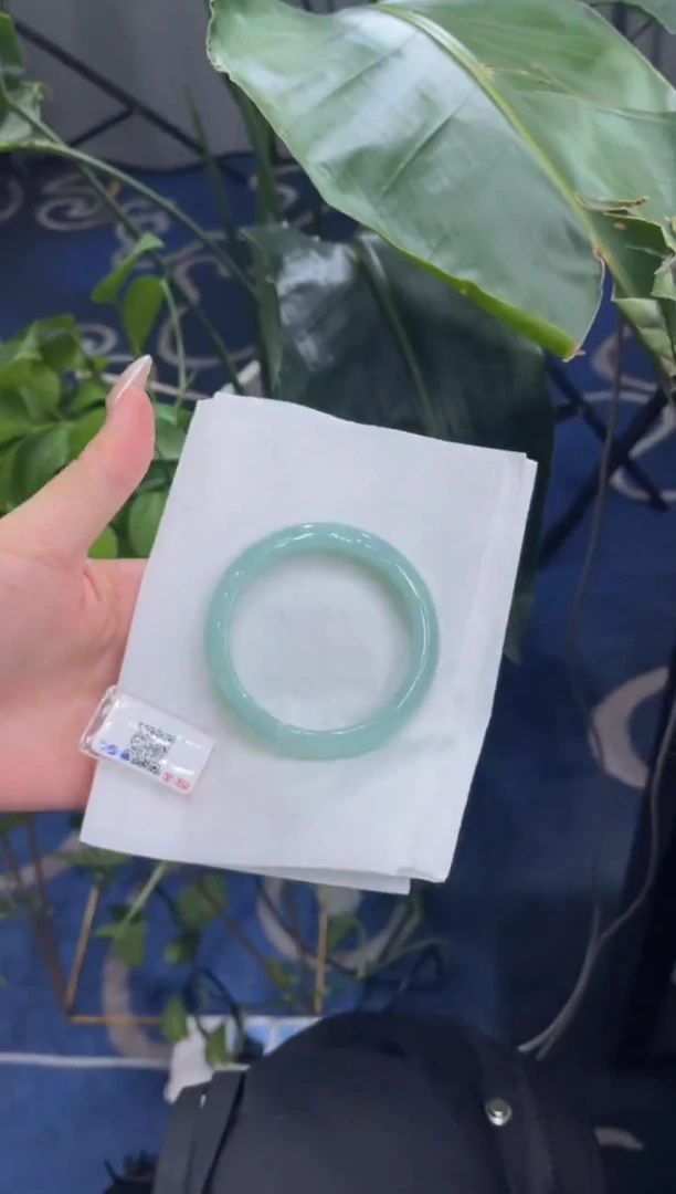 未镶嵌手镯翡翠8222****