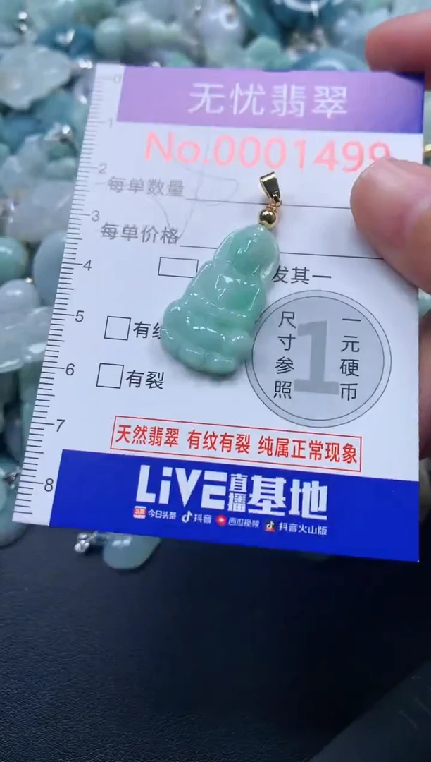 颈饰未镶嵌翡翠1499