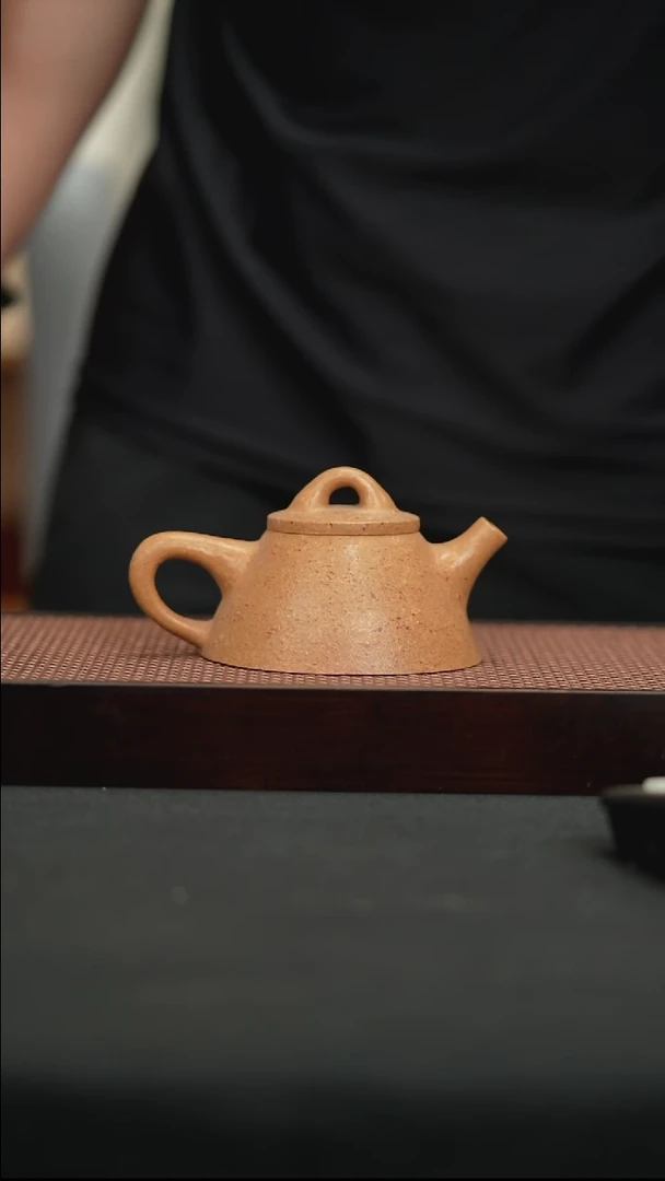 茶壶紫砂八目粗砂红降霸王石瓢壶