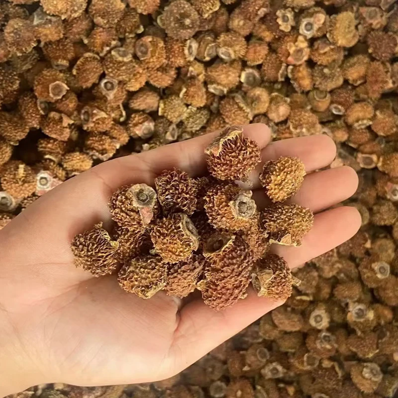 老乡山货-干刺梨 | 贵州高山原生态农家自晒刺梨500g