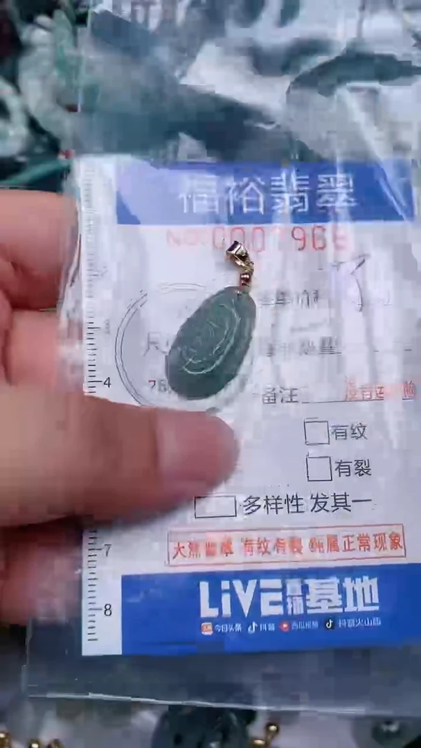 翡翠未镶嵌颈饰...0007966