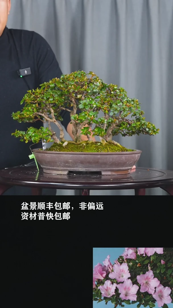 【闪购商品】-高砂-U64