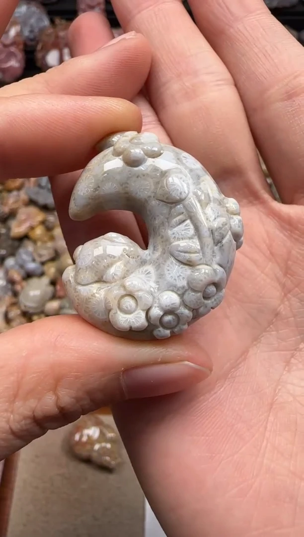 【闪购商品】硅化珊瑚（珊瑚玉）颈饰未镶嵌630