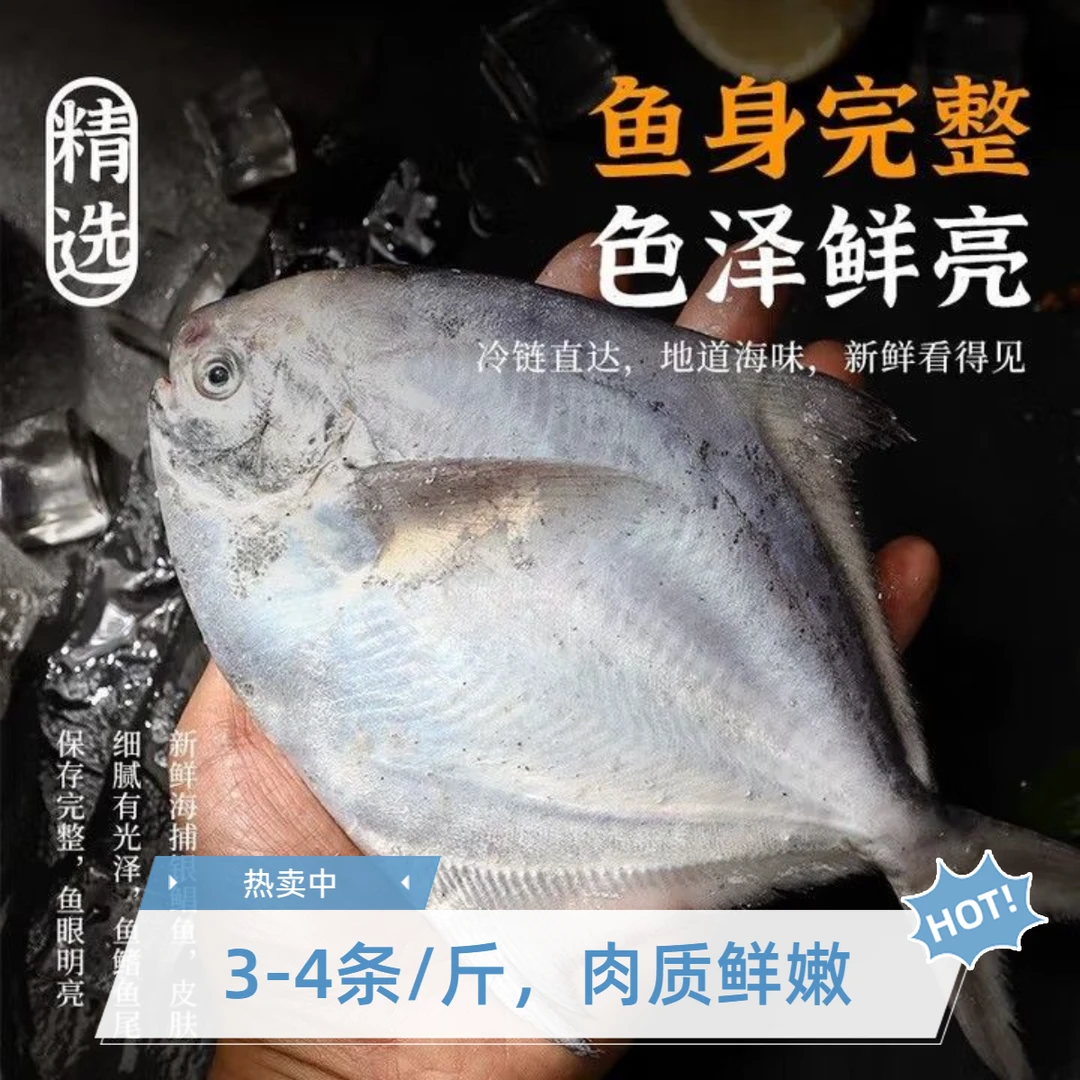 新鲜野生 3-4头/斤 3斤   5斤  银鲳鱼  肉质 饱满细嫩