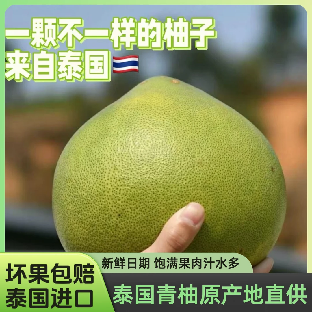 【顺丰包邮】正宗泰国进口翡翠白蜜柚泰国青柚2-4个装脆甜爆汁