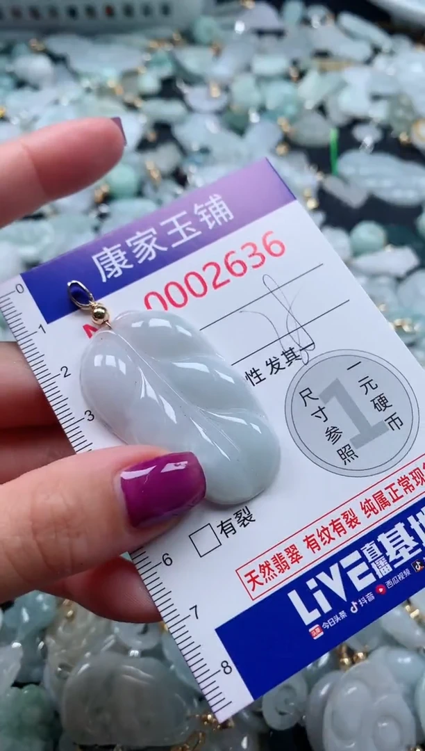 颈饰未镶嵌翡翠2636