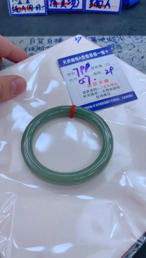 未镶嵌手镯翡翠1