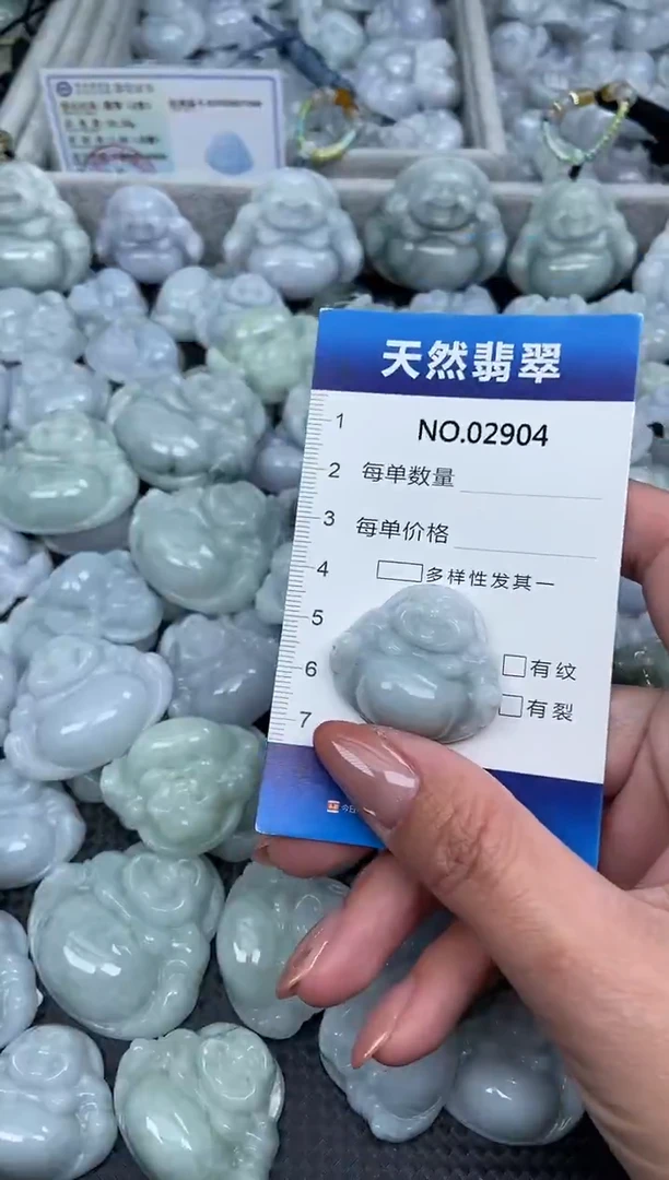 颈饰未镶嵌翡翠纯天然A货翡翠2904