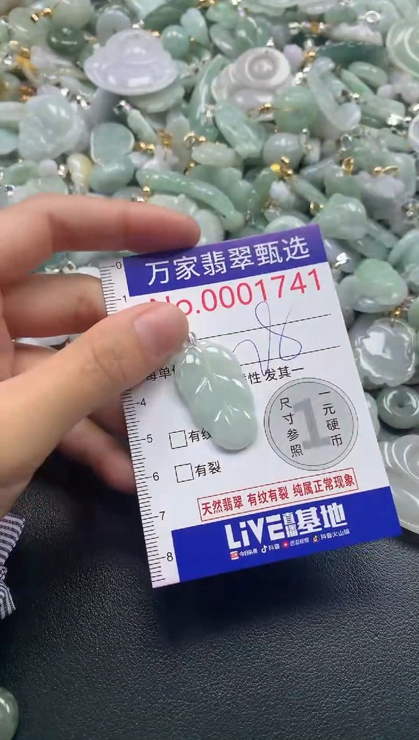 吊坠(不含链)未镶嵌翡翠1741