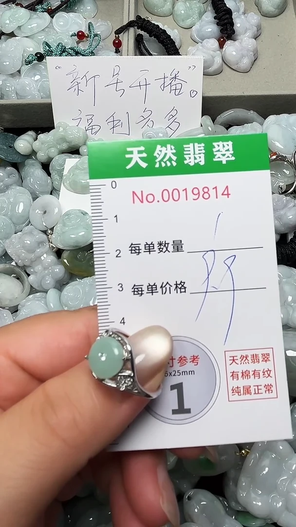 翡翠未镶嵌吊坠(不含链)9814