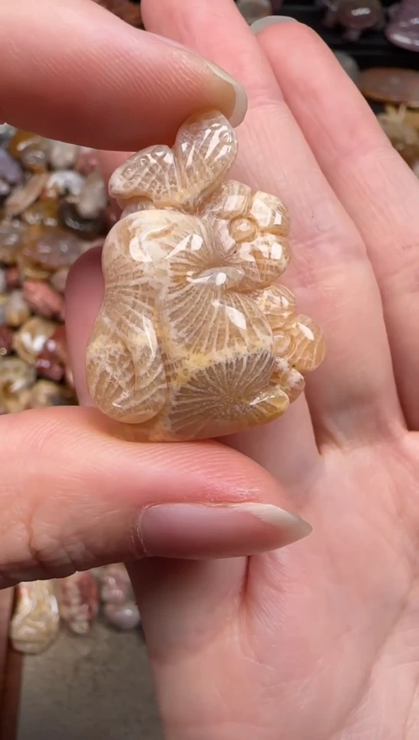 硅化珊瑚（珊瑚玉）未镶嵌颈饰571
