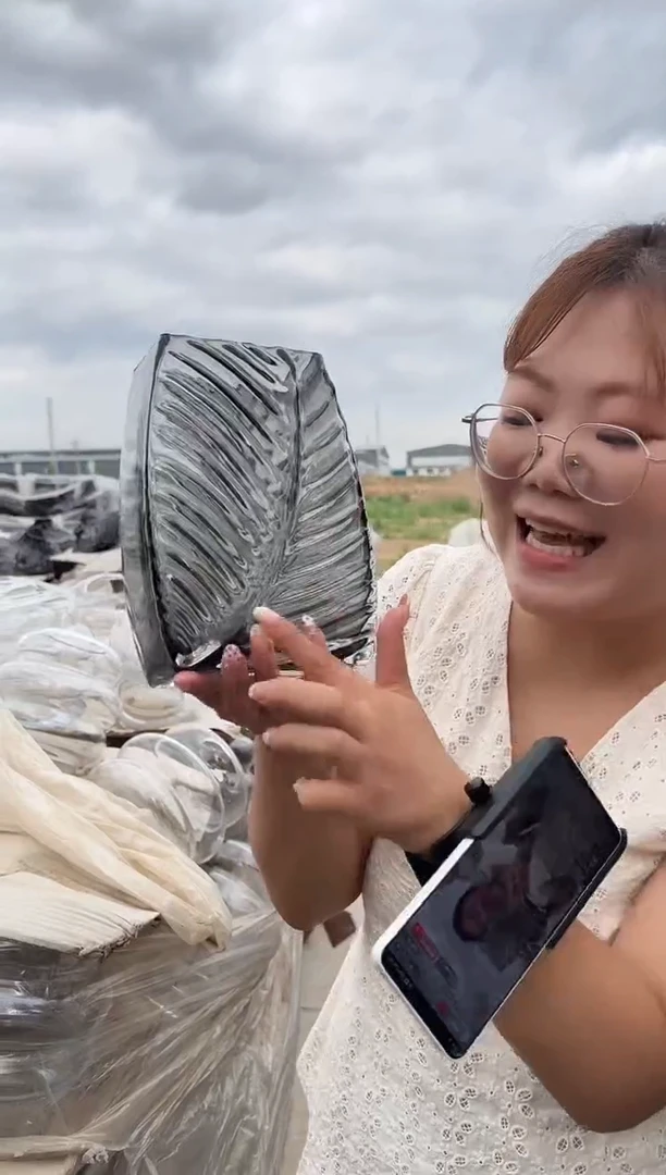 装饰家居的简约透明插花器